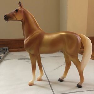 2014 horse of the year, Appendix Quarter horse.